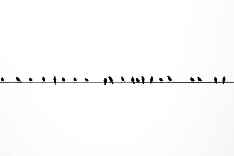 A Guide To Finding The Best Training Provider In Malaysia