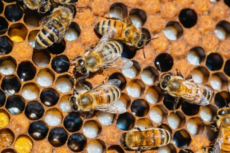 11 HRDC Claimable Team Building Programmes For Organisations In Malaysia